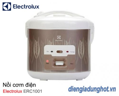 Nồi cơm điện Electrolux ERC2200